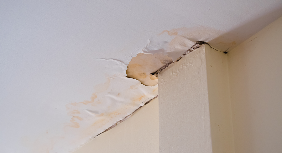 water damage insurance inspection process Understanding the Water Damage Insurance Inspection Process